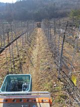 팜모닝 사과·영농일지 게시글 이미지