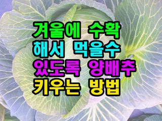 꿈꾸는텃밭님의 기타작물 · 영농일지 작성글 사진