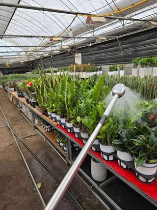 두릅나무15847님의 기타작물 · 영농일지 작성글 사진