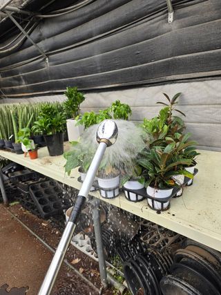 두릅나무15847님의 기타작물 · 영농일지 작성글 사진