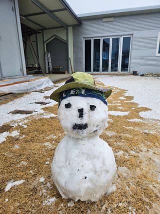 솔로매 소운농장님의 기타작물 · 영농일지 작성글 사진
