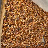 팜모닝 기타작물·영농일지 게시글 이미지