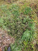 팜모닝 기타작물·영농일지 게시글 이미지