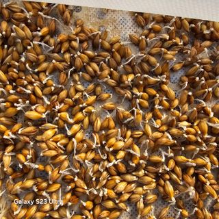 박용열조물주님 님의 기타작물 · 영농일지 작성글 사진