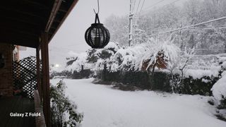 이훈정(시몬)님의 기타작물 · 영농일지 작성글 사진