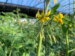 흠이네님의 기타작물 · 영농일지 작성글 사진