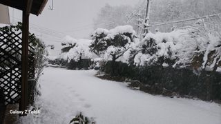 이훈정(시몬)님의 기타작물 · 영농일지 작성글 사진