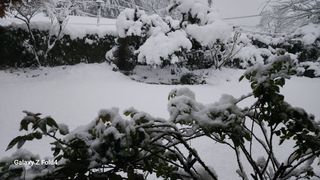 이훈정(시몬)님의 기타작물 · 영농일지 작성글 사진