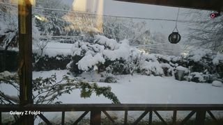 이훈정(시몬)님의 기타작물 · 영농일지 작성글 사진