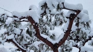이훈정(시몬)님의 기타작물 · 영농일지 작성글 사진