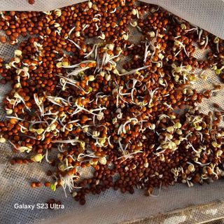 박용열조물주님 님의 기타작물 · 영농일지 작성글 사진