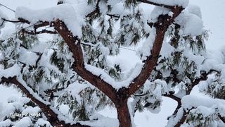 이훈정(시몬)님의 기타작물 · 영농일지 작성글 사진