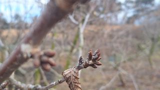 신동원님의 기타작물 · 영농일지 작성글 사진