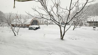 호두마루님의 복숭아 · 영농일지 작성글 사진