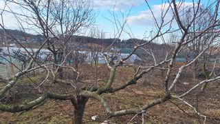 신동원님의 기타작물 · 영농일지 작성글 사진