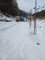 팜모닝 기타작물·영농일지 게시글 이미지