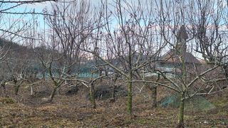 신동원님의 기타작물 · 영농일지 작성글 사진