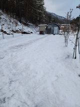 팜모닝 기타작물·영농일지 게시글 이미지