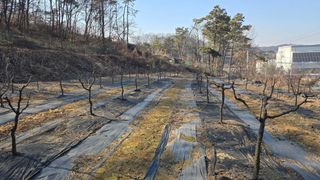 이병희님의 기타작물 · 영농일지 작성글 사진