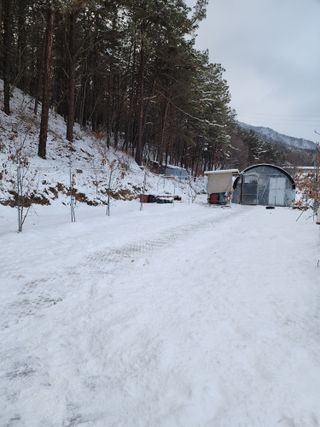 체리농원님의 기타작물 · 영농일지 작성글 사진