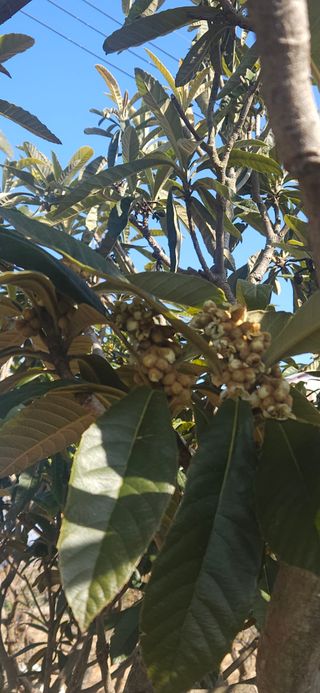 옥재벌님의 기타작물 · 영농일지 작성글 사진