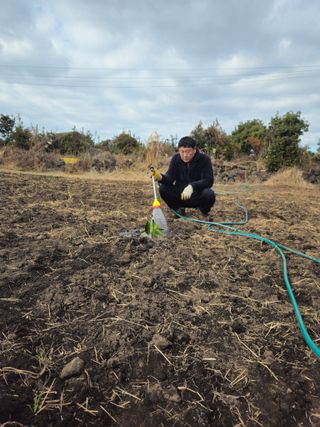 새달귤농장님의 귤 · 영농일지 작성글 사진
