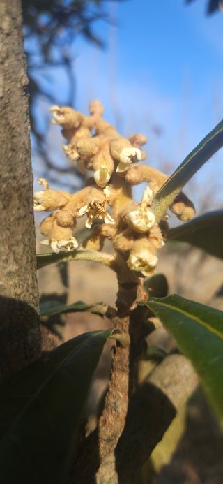 옥재벌님의 기타작물 · 영농일지 작성글 사진