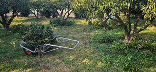 옥재벌님의 기타작물 · 영농일지 작성글 사진