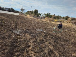 새달귤농장님의 귤 · 영농일지 작성글 사진