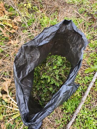 김용제 님의 기타작물 · 영농일지 작성글 사진