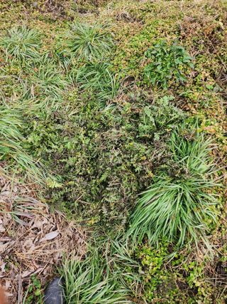 김용제 님의 기타작물 · 영농일지 작성글 사진