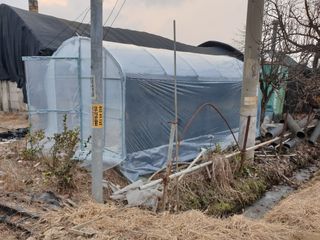 Happypapa님의 기타작물 · 영농일지 작성글 사진