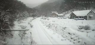 달구님의 기타작물 · 영농일지 작성글 사진