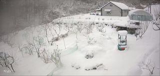 달구님의 기타작물 · 영농일지 작성글 사진