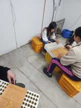 팜모닝 기타작물·영농일지 게시글 이미지