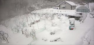 달구님의 기타작물 · 영농일지 작성글 사진