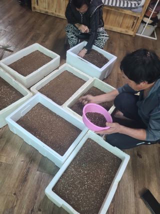 신경여님의 기타작물 · 영농일지 작성글 사진