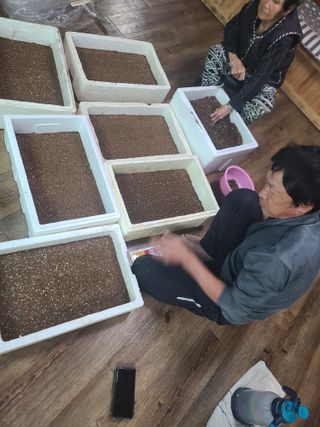 신경여님의 기타작물 · 영농일지 작성글 사진