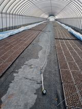 팜모닝 기타작물·영농일지 게시글 이미지