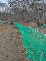 팜모닝 기타작물·영농일지 게시글 이미지