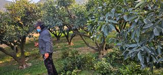 옥재벌님의 기타작물 · 영농일지 작성글 사진