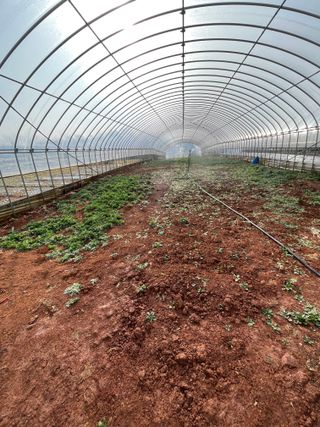 결단이님의 기타작물 · 영농일지 작성글 사진