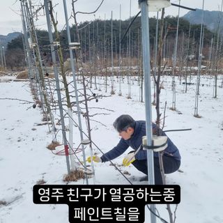 이성수님의 기타작물 · 영농일지 작성글 사진