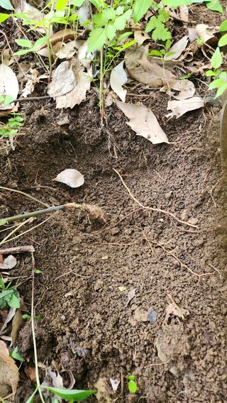 사과6329님의 기타작물 · 영농일지 작성글 사진