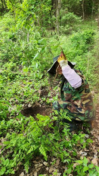 사과6329님의 기타작물 · 영농일지 작성글 사진