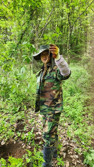 사과6329님의 기타작물 · 영농일지 작성글 사진