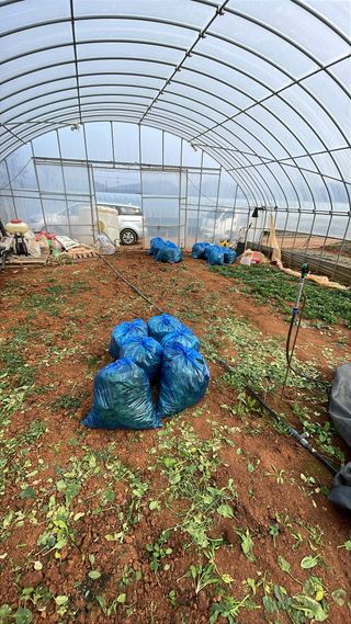 결단이님의 기타작물 · 영농일지 작성글 사진