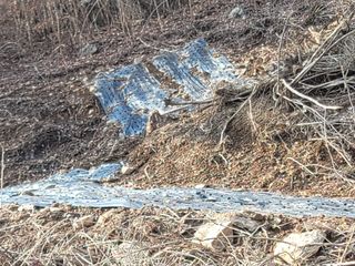 박헌님의 기타작물 · 영농일지 작성글 사진