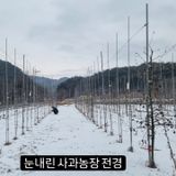 팜모닝 기타작물·영농일지 게시글 이미지