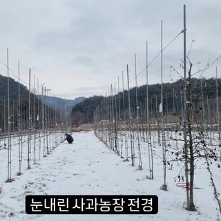 이성수님의 기타작물 · 영농일지 작성글 사진